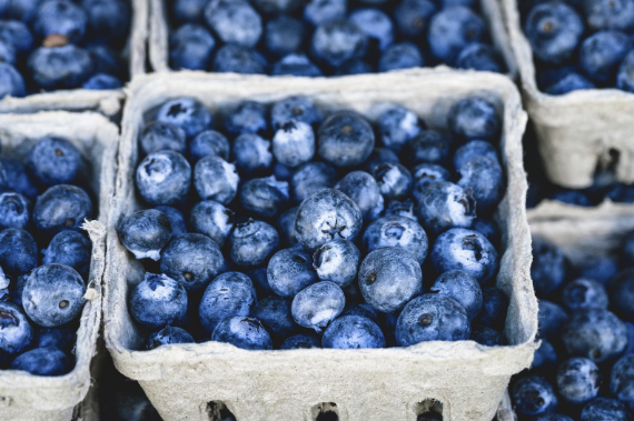 Names That Mean Blueberry