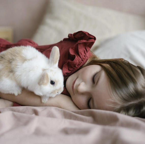 167 Bunny Names Cute Funny Tag Vault