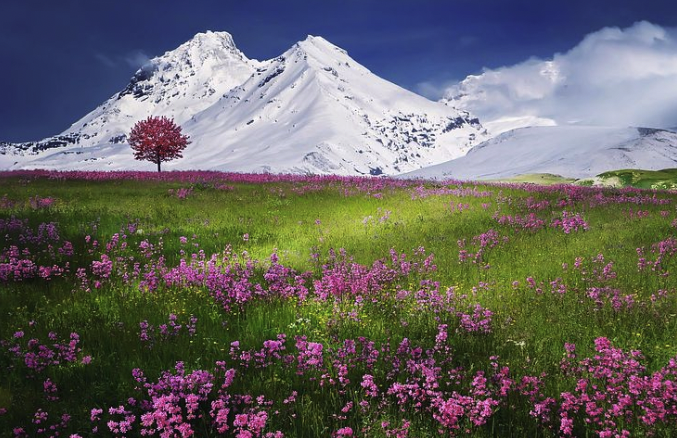 purple with mountains