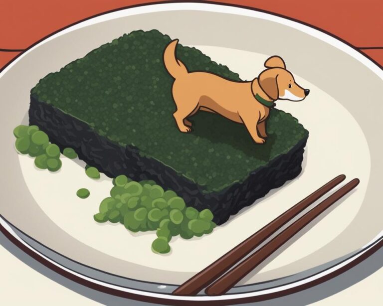 can-dogs-eat-nori